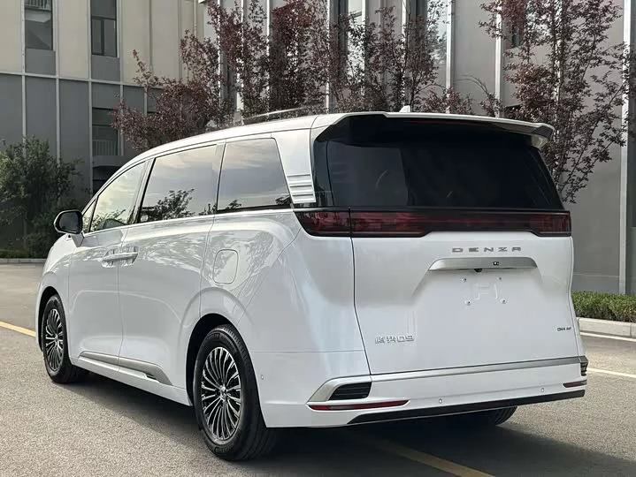 Denza D9