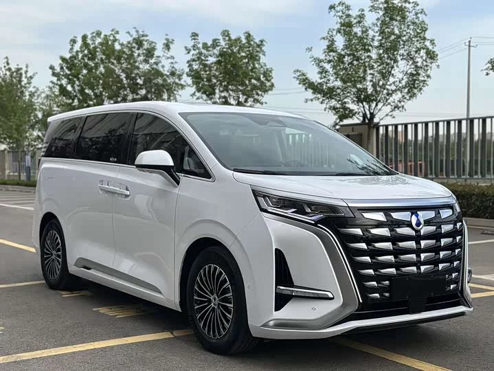 Denza D9