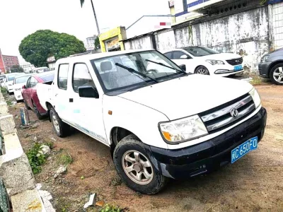 Dongfeng Ruiqi