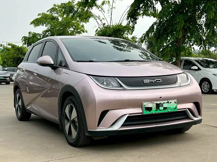 BYD dolphin
