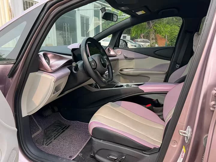 BYD dolphin
