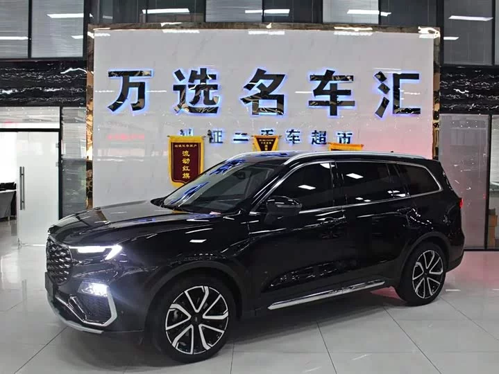 Ford Lingyu