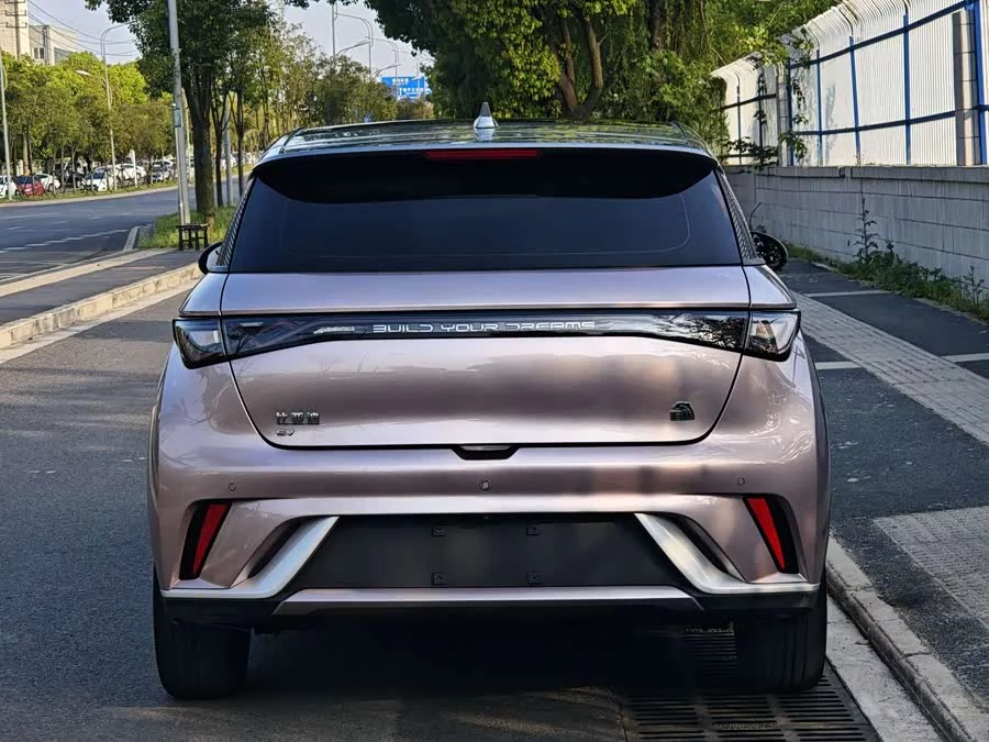 BYD Dolphin
