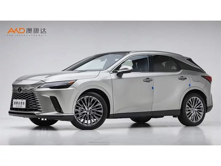 Lexus RX New Energy
