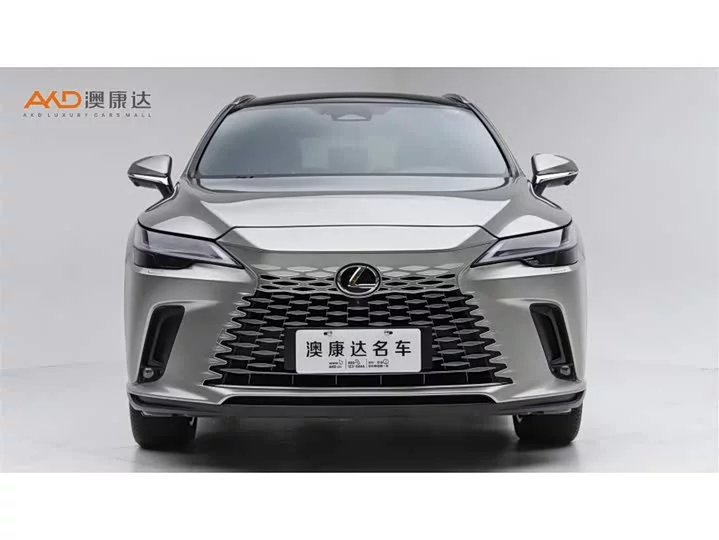 Lexus RX New Energy