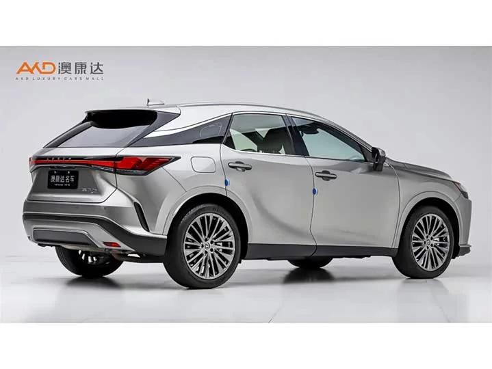 Lexus RX New Energy