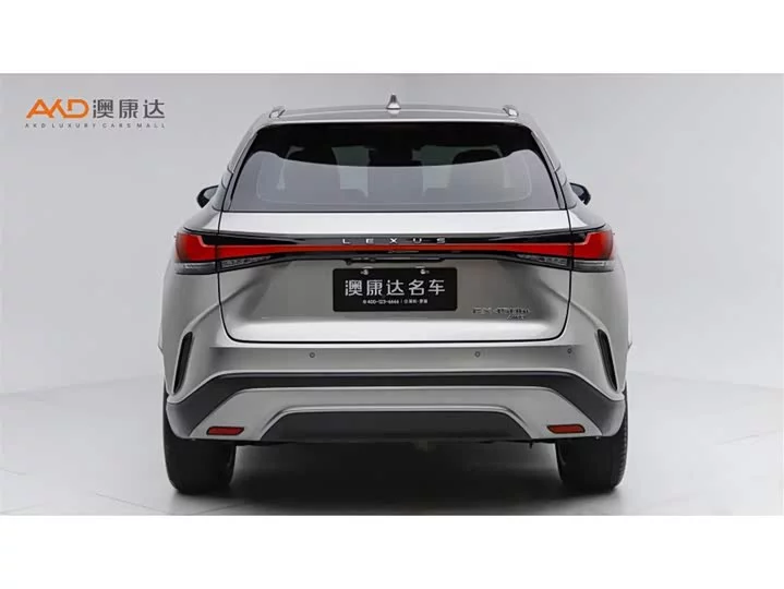 Lexus RX New Energy