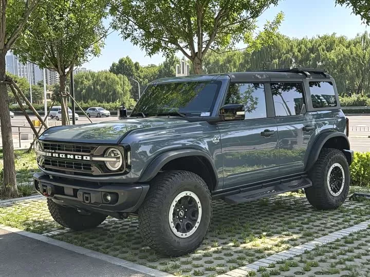 Ford Wild Horse