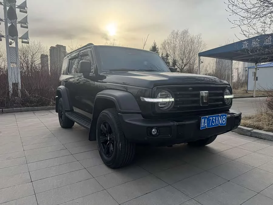 TANK 300