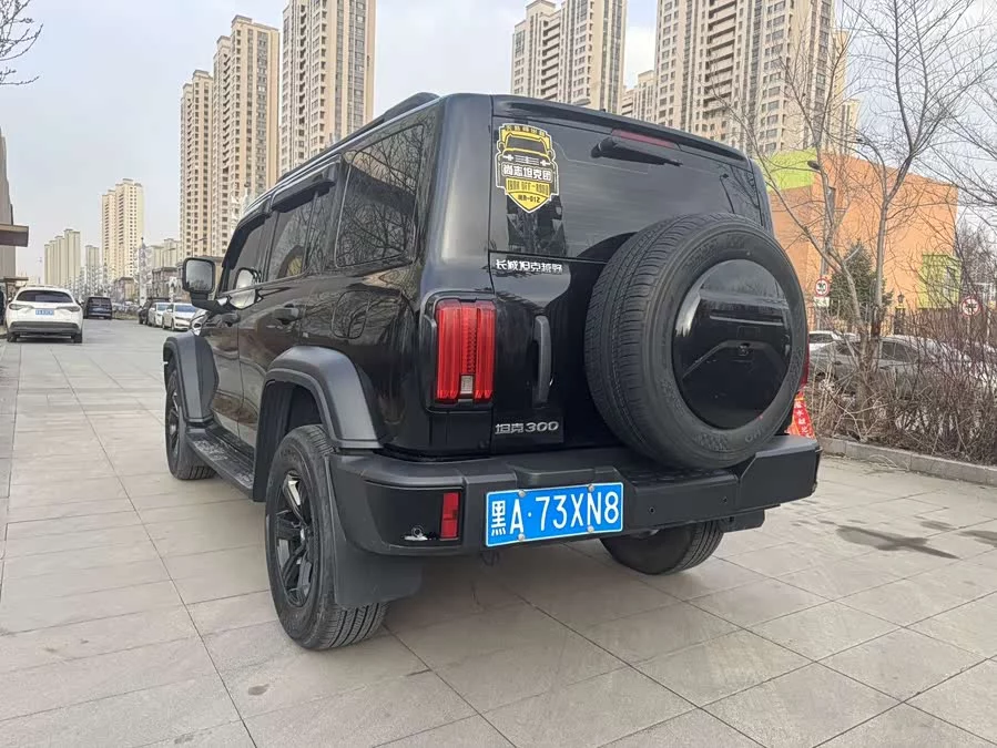 TANK 300