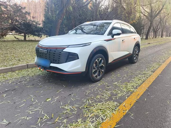 Haval Shenshou