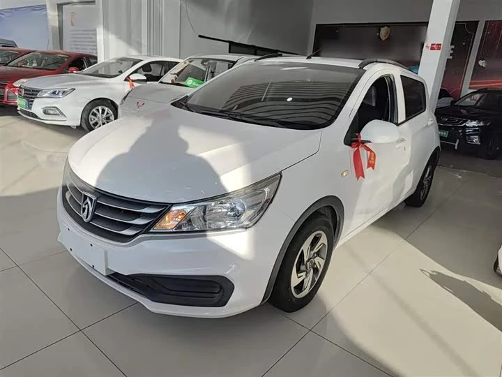Baojun 310