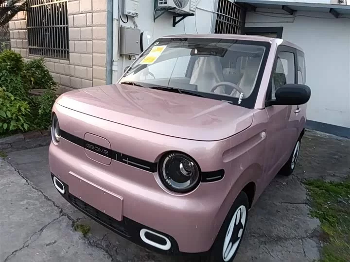 Geely panda