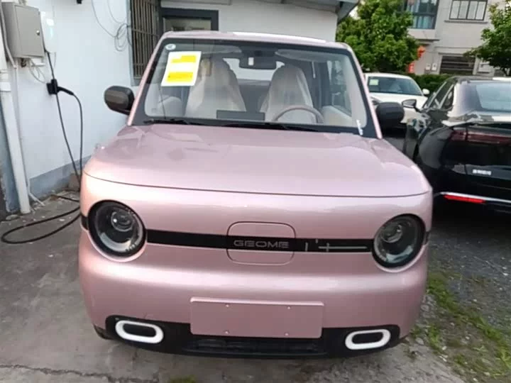 Geely panda
