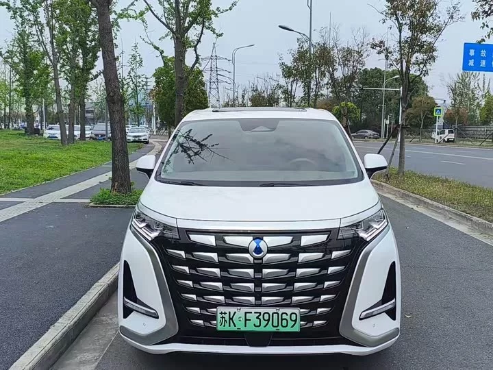 Denza D9