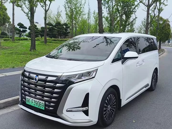 Denza D9