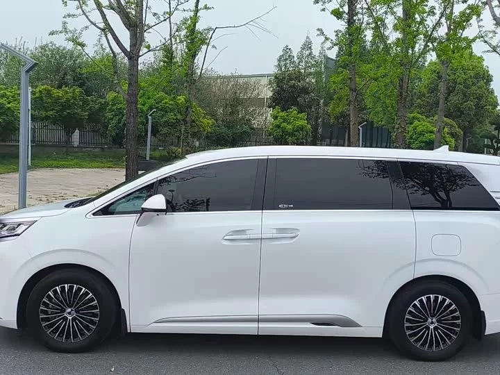 Denza D9