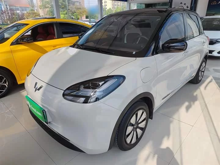Wuling Bingo
