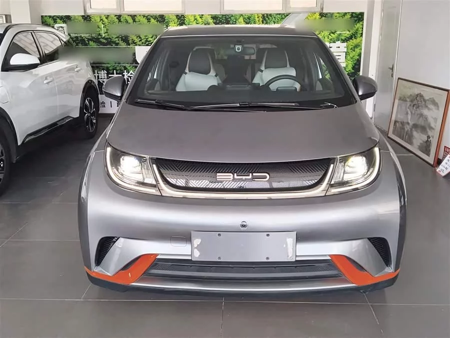 BYD Dolphin