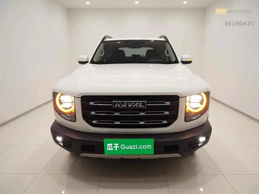 Haval Big Dog DaGou
