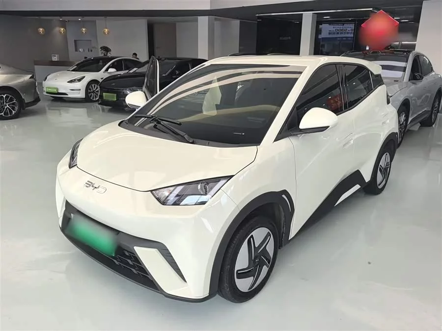 BYD Seagull