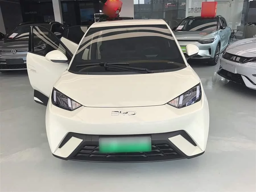 BYD Seagull