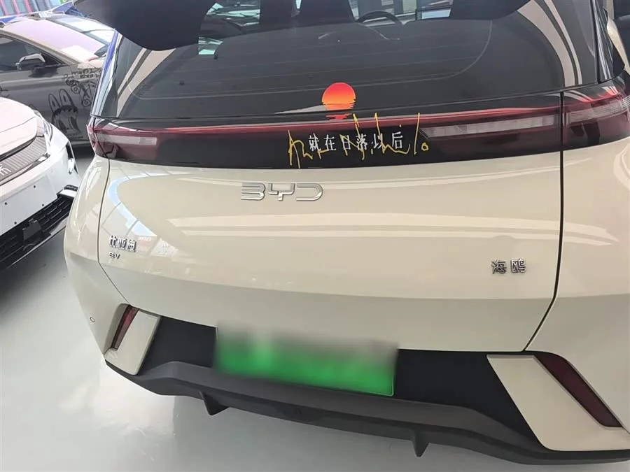 BYD Seagull