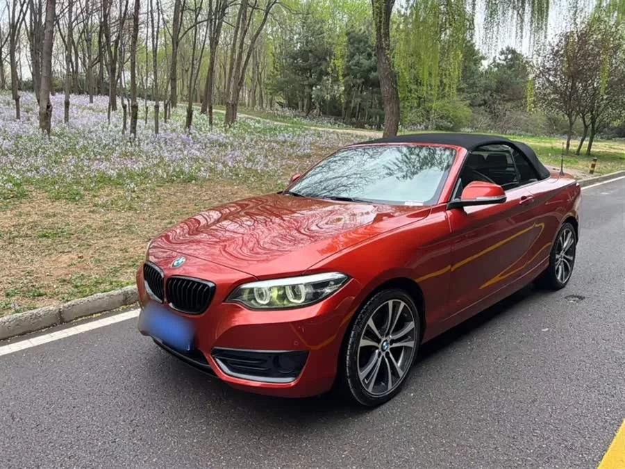BMW 2 Series