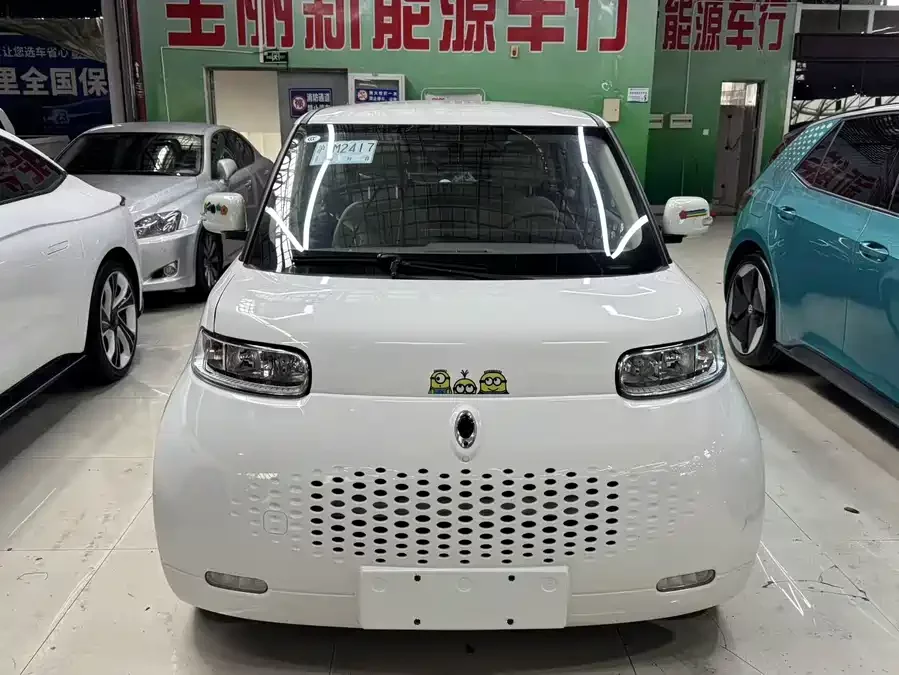 ORA White cat