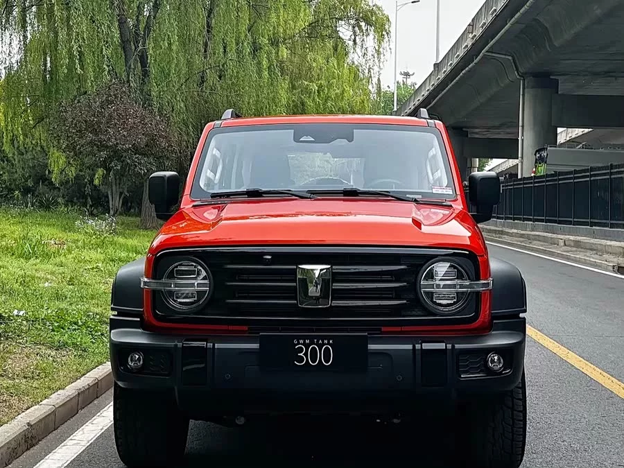 TANK 300