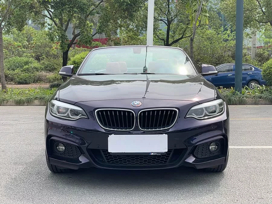 BMW 2 Series