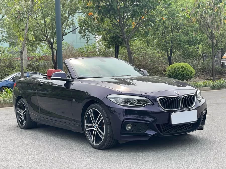 BMW 2 Series