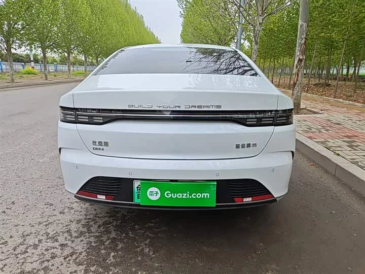 BYD Destroyer 05