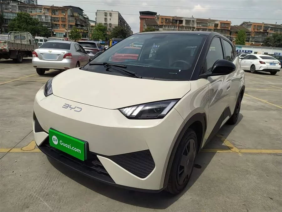 BYD Seagull