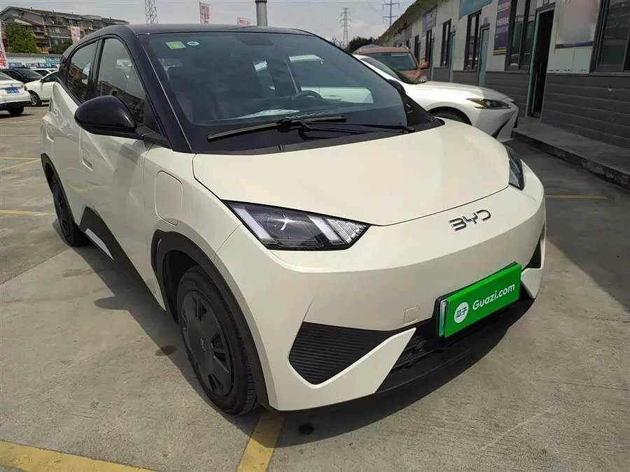 BYD Seagull