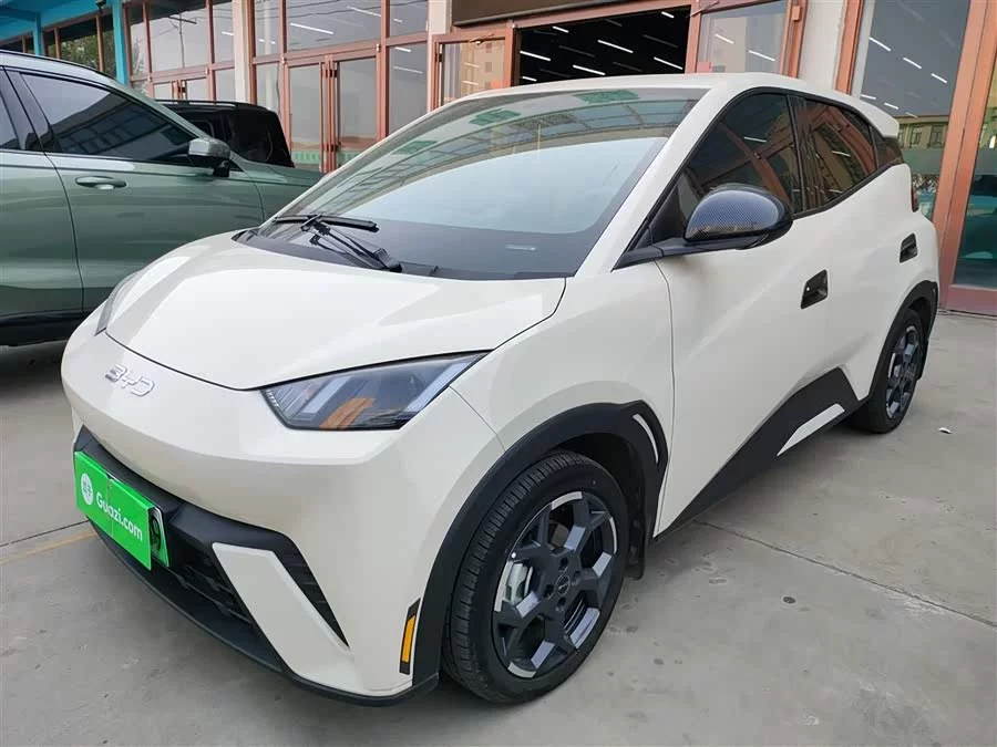 BYD Seagull