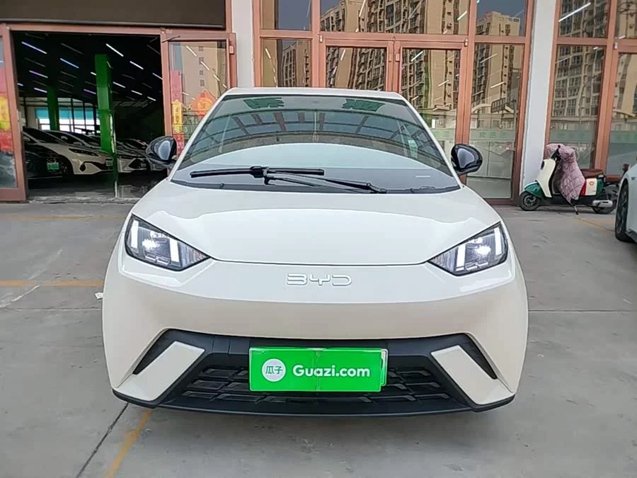BYD Seagull