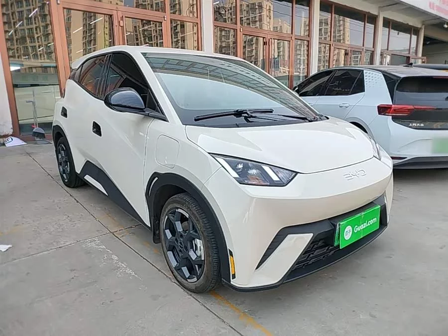 BYD Seagull