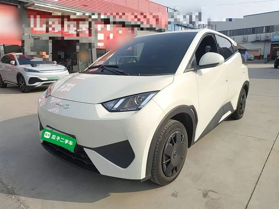 BYD Seagull