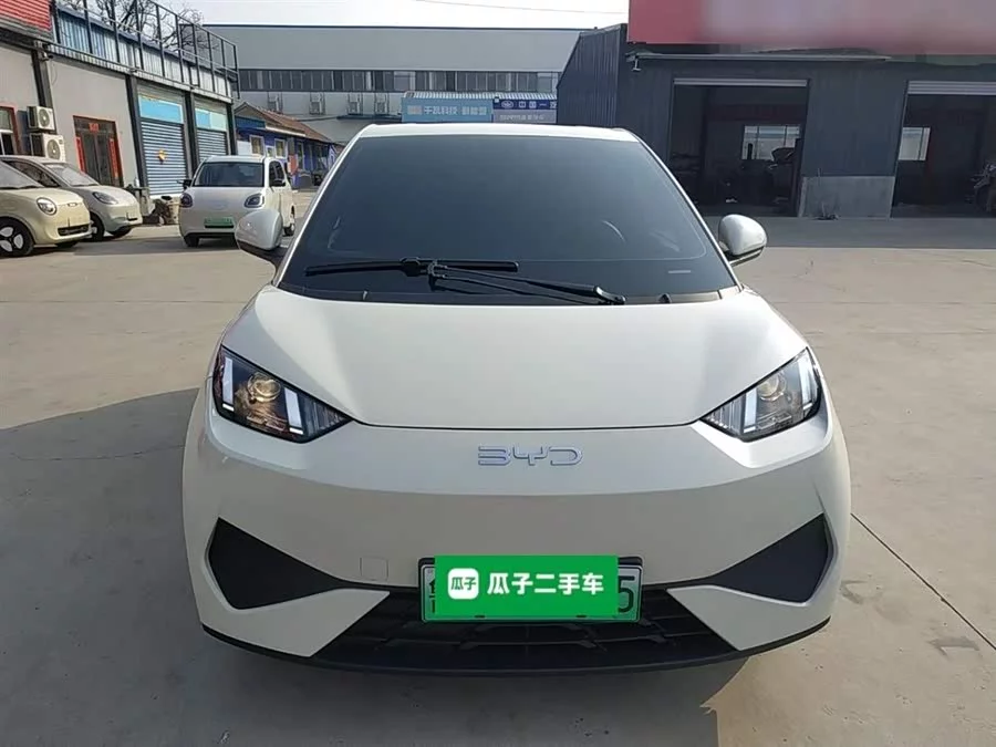 BYD Seagull