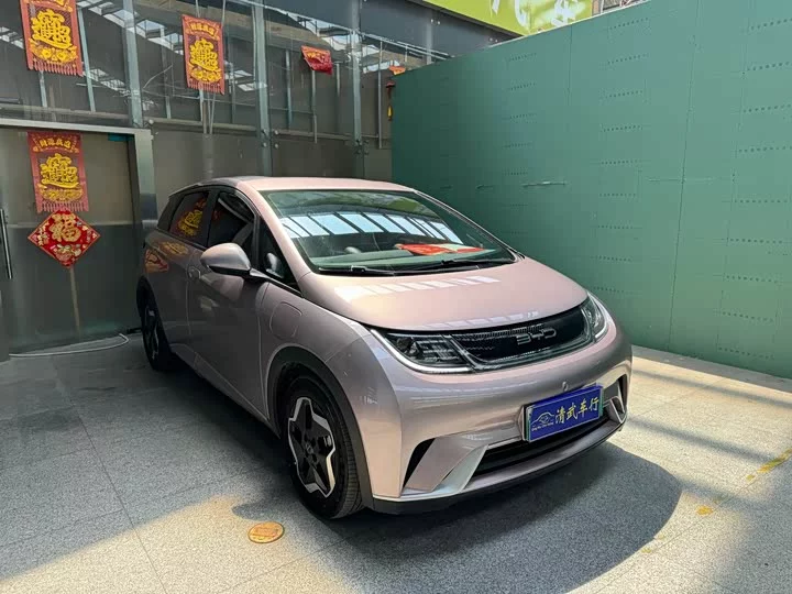 BYD dolphin