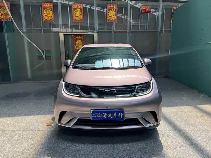BYD dolphin