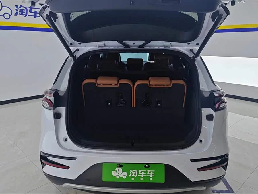 BYD Tang New Energy