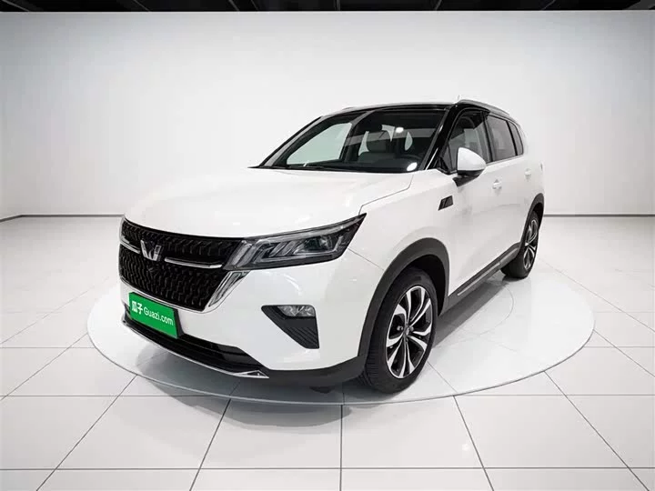 Wuling Star