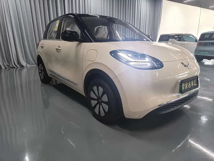 Wuling Bingo