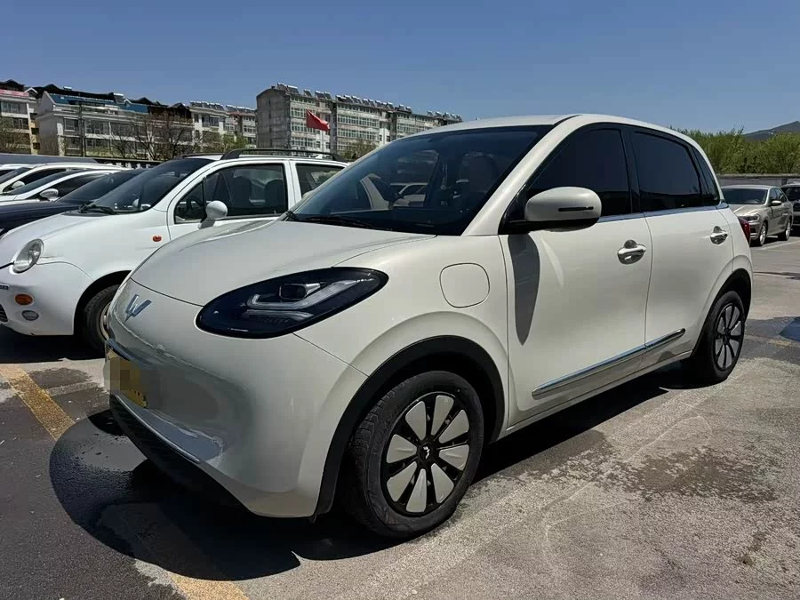 Wuling Bingo