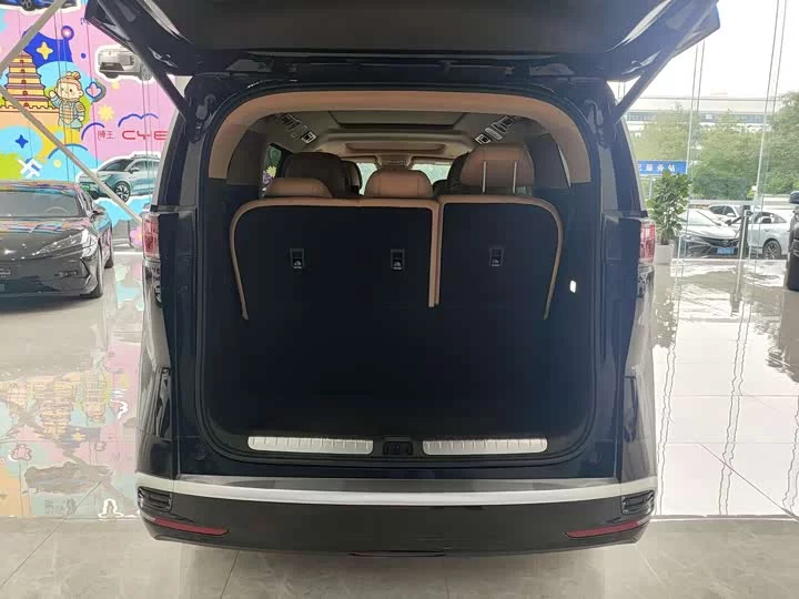 Denza D9