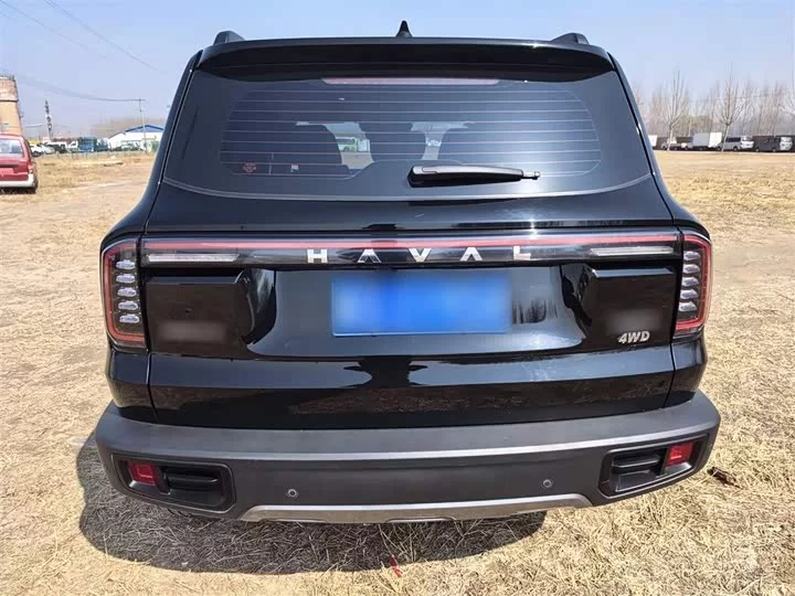 Haval Big Dog DaGou