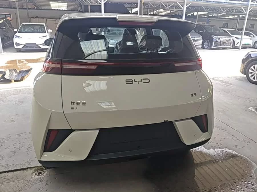 BYD Seagull