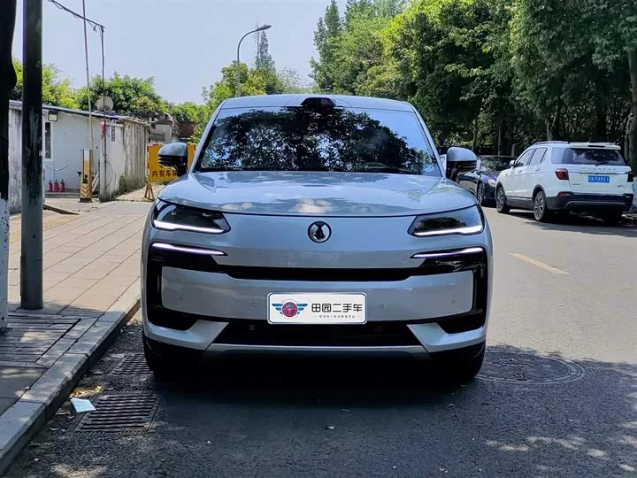 Denza N9